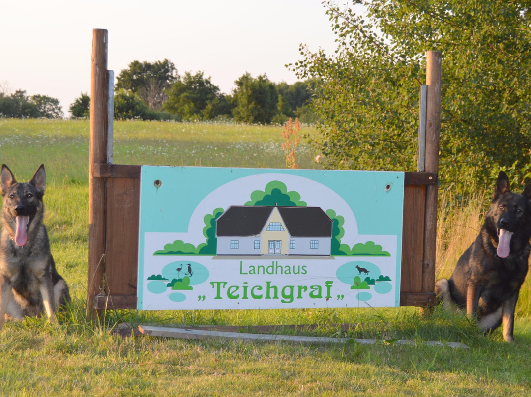 Pension Landhaus Teichgraf主图