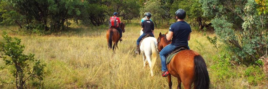 Groot Verlange Horse Academy & Safaris-Brits必去景点