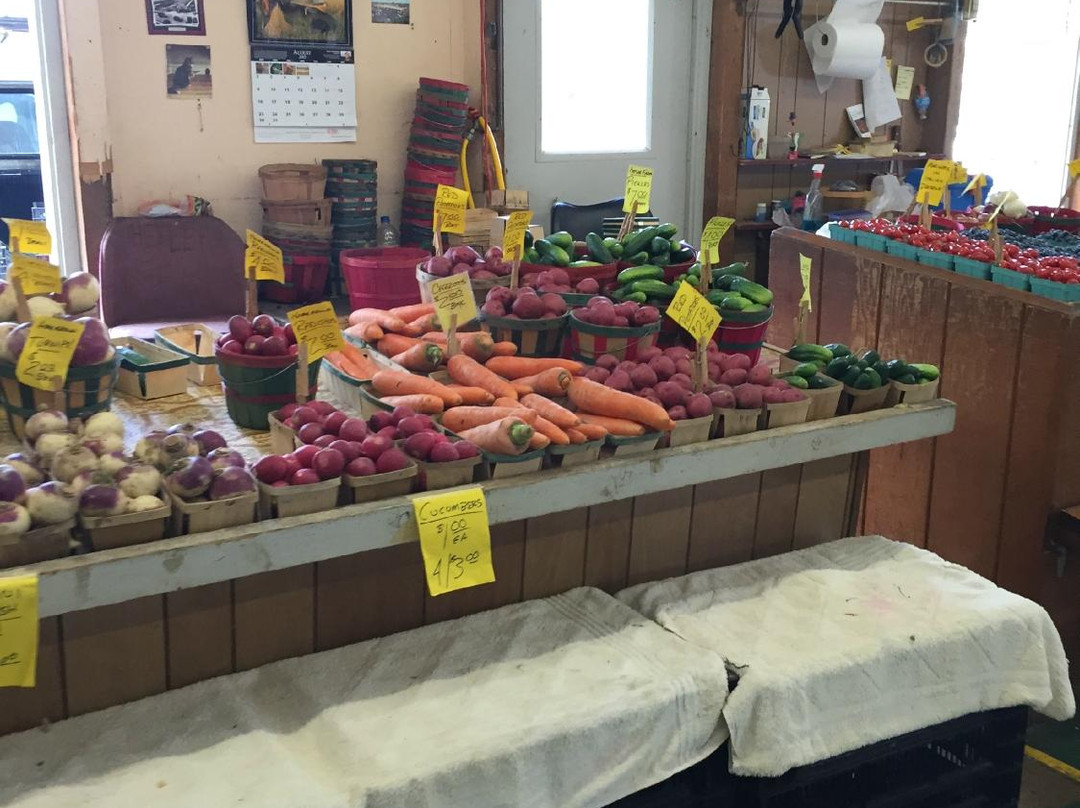 South Bend Farmer's Market-南本德必去景点