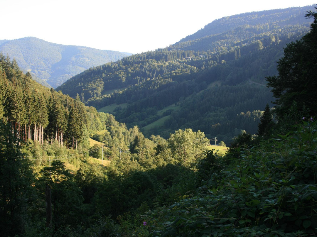 Todtnau Waterfalls-托特瑙必去景点