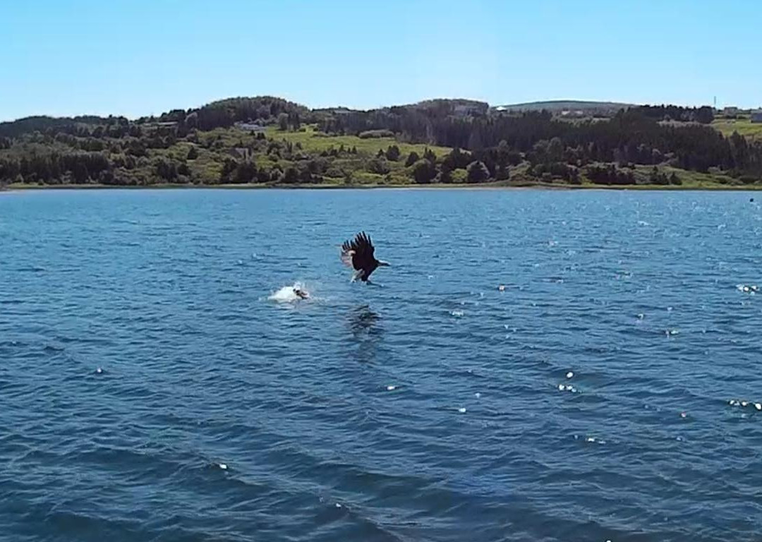 Eagle Eye Outfitters-Inverness必去景点