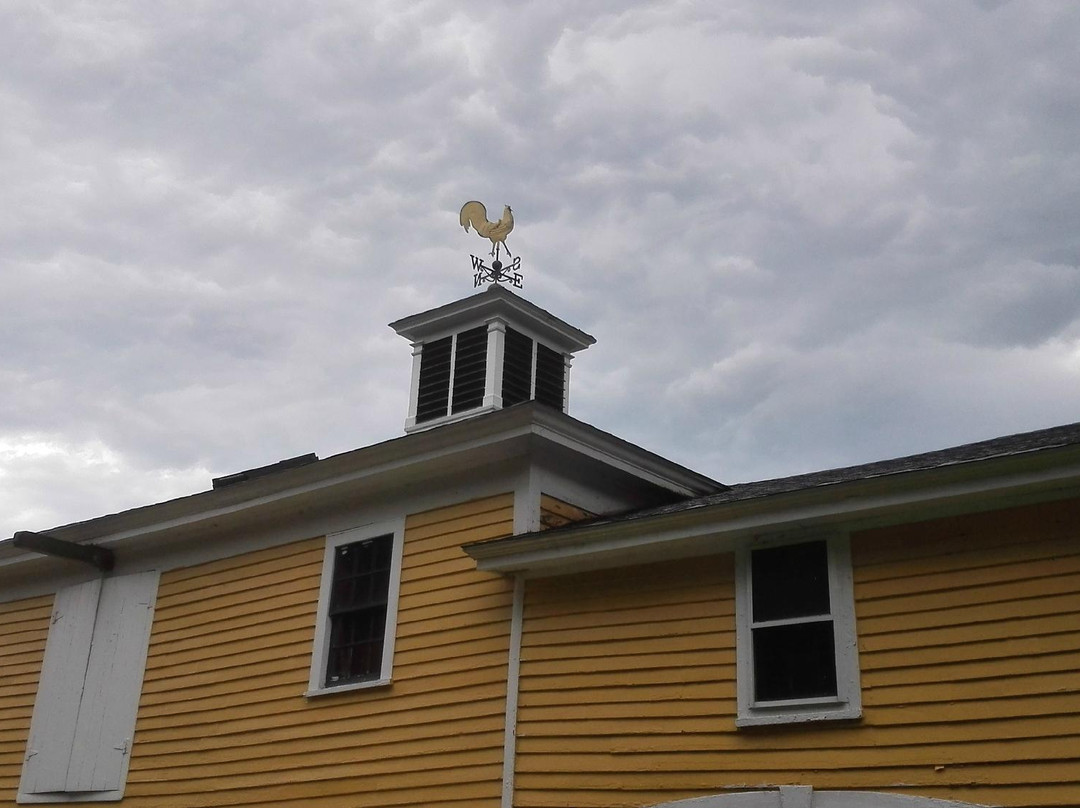 Tall Pines Guest House主图