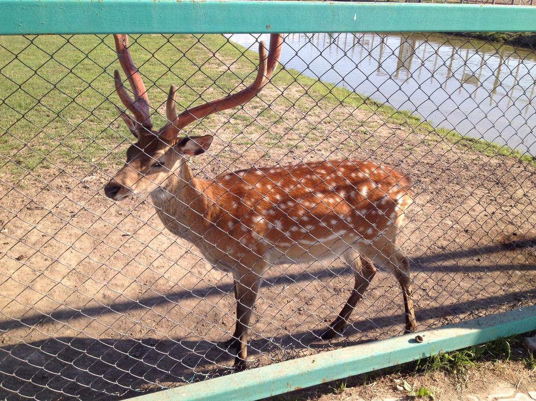 Aragon-哈巴罗夫斯克必去景点