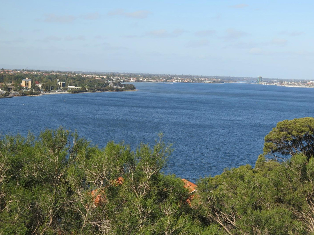 国王公园及植物园-珀斯必去景点