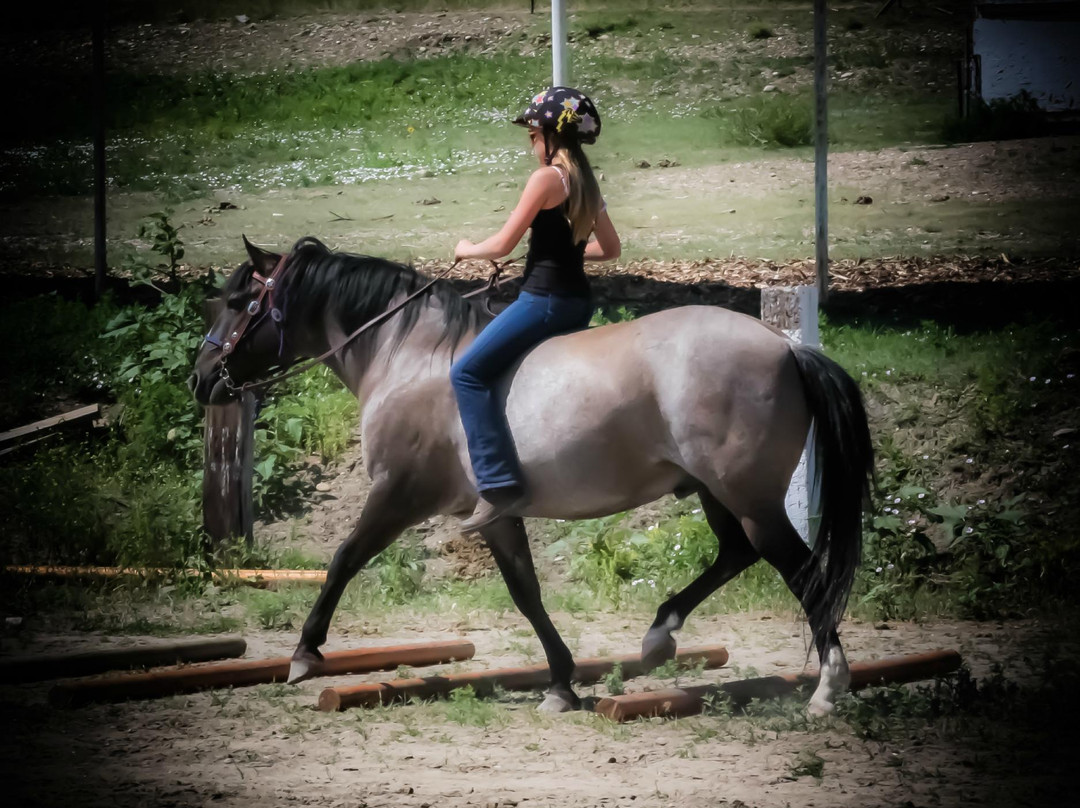 Windcross Conservancy-Buffalo Gap必去景点