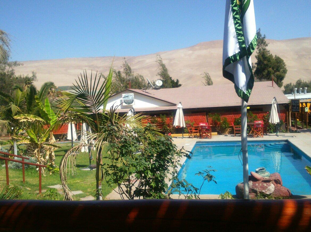 Putre餐馆和美食-Entre Olivos Restaurant