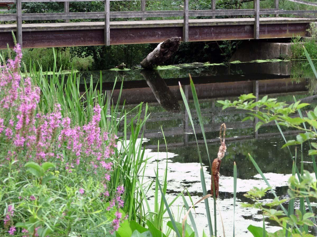 Loantaka Brook Reservation景点图片