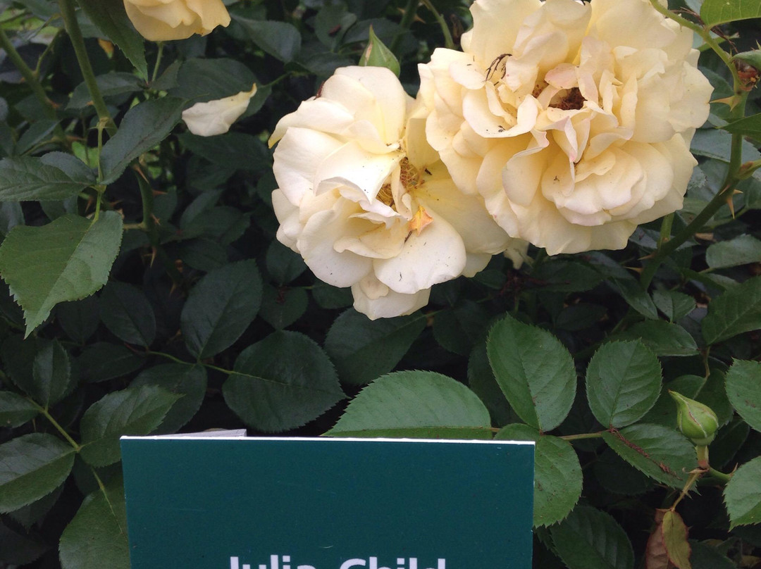 伊丽莎白公园-西哈特福德必去景点