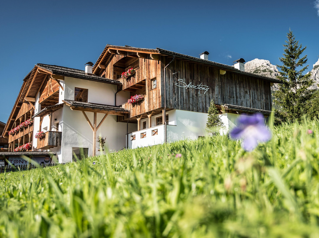 Sportony Mountain Lodges