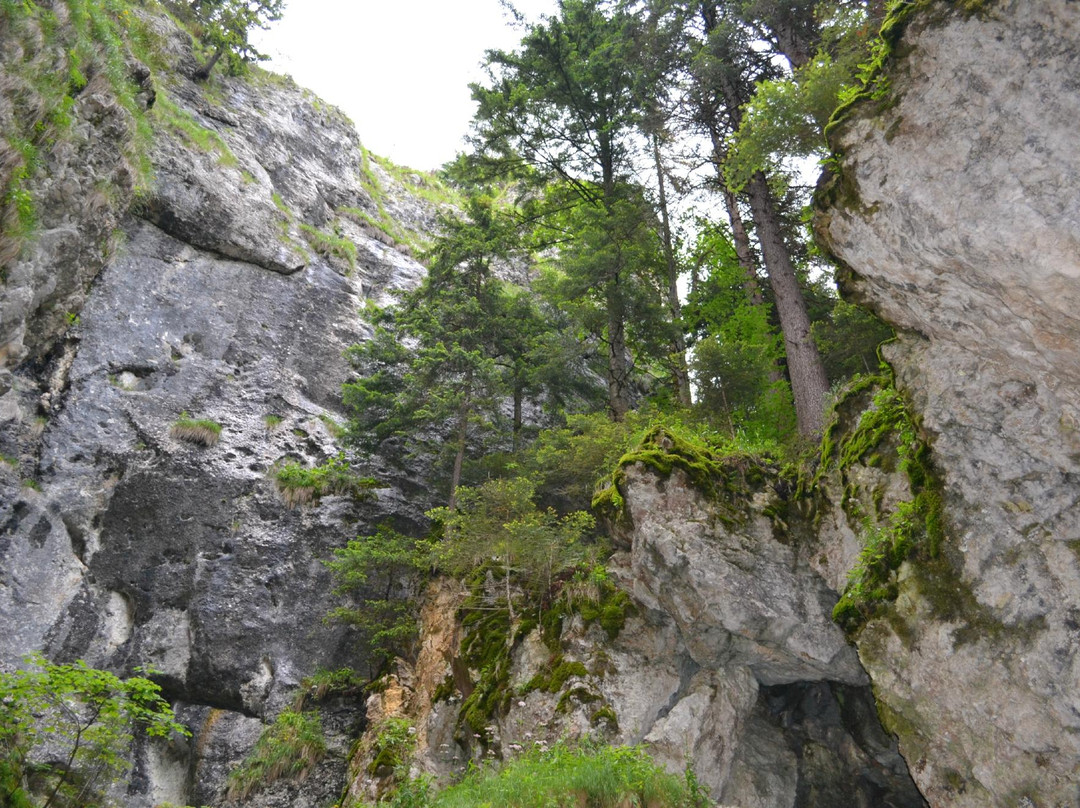 Tamina Waterfall景点图片