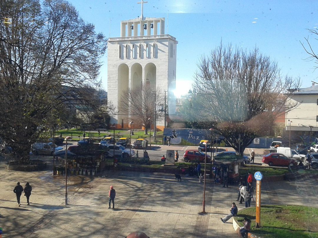 Rio Bueno旅游景点-Mercado Central de Osorno
