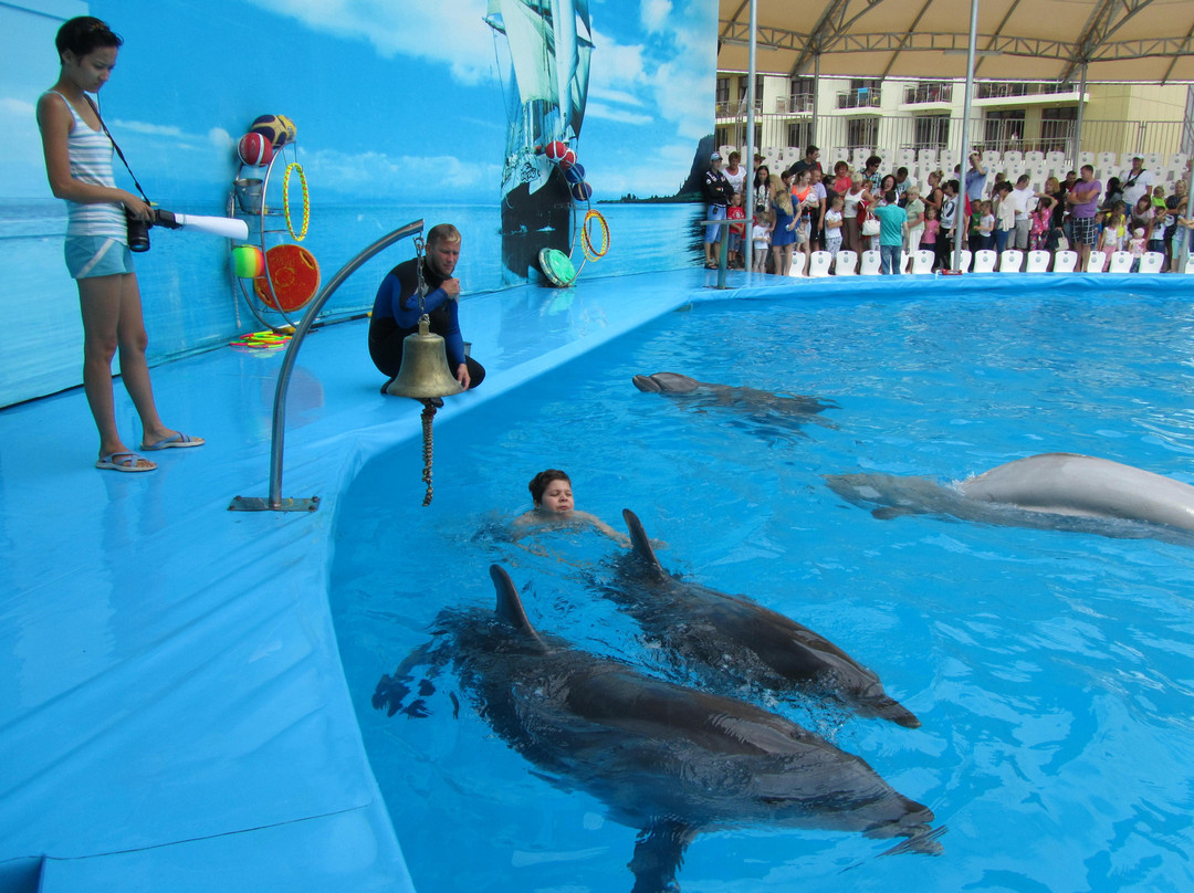 Dolphinarium景点图片