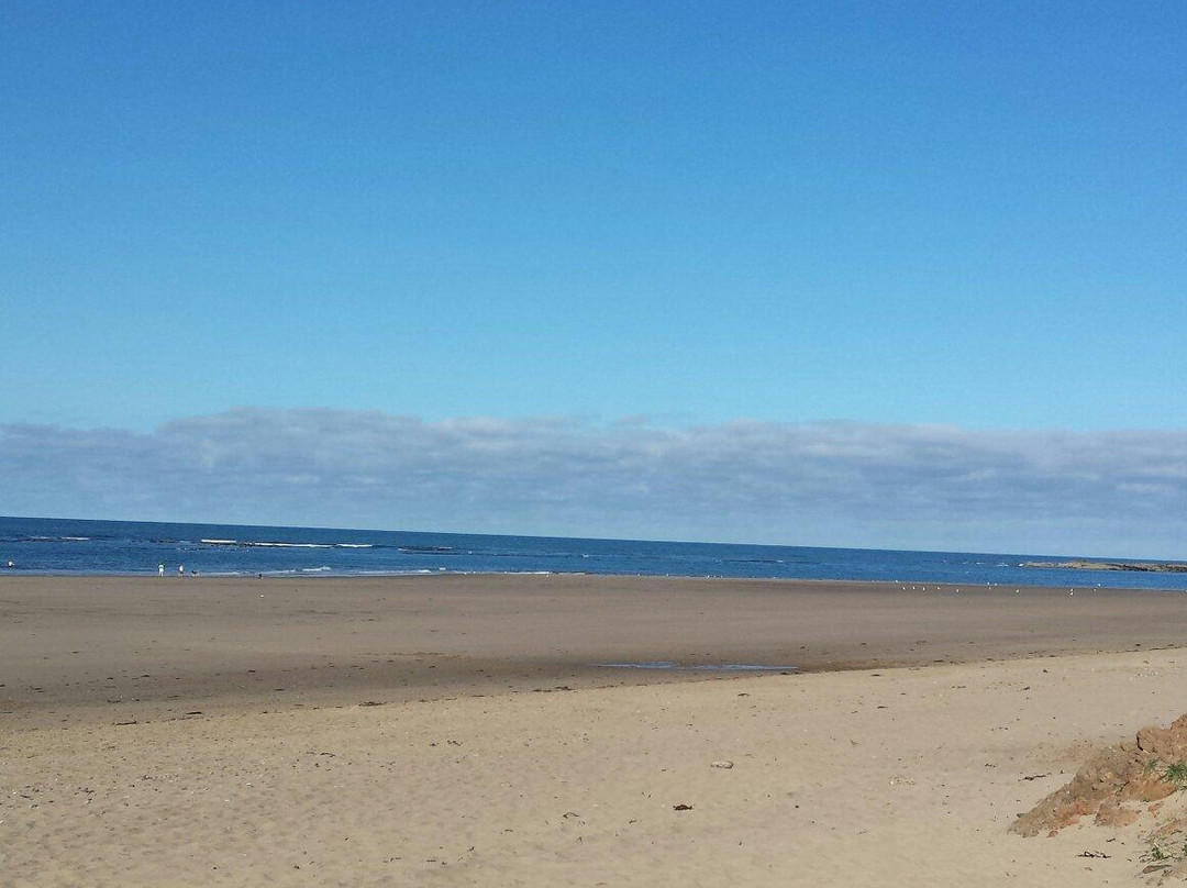 Cayton Bay Beach景点图片