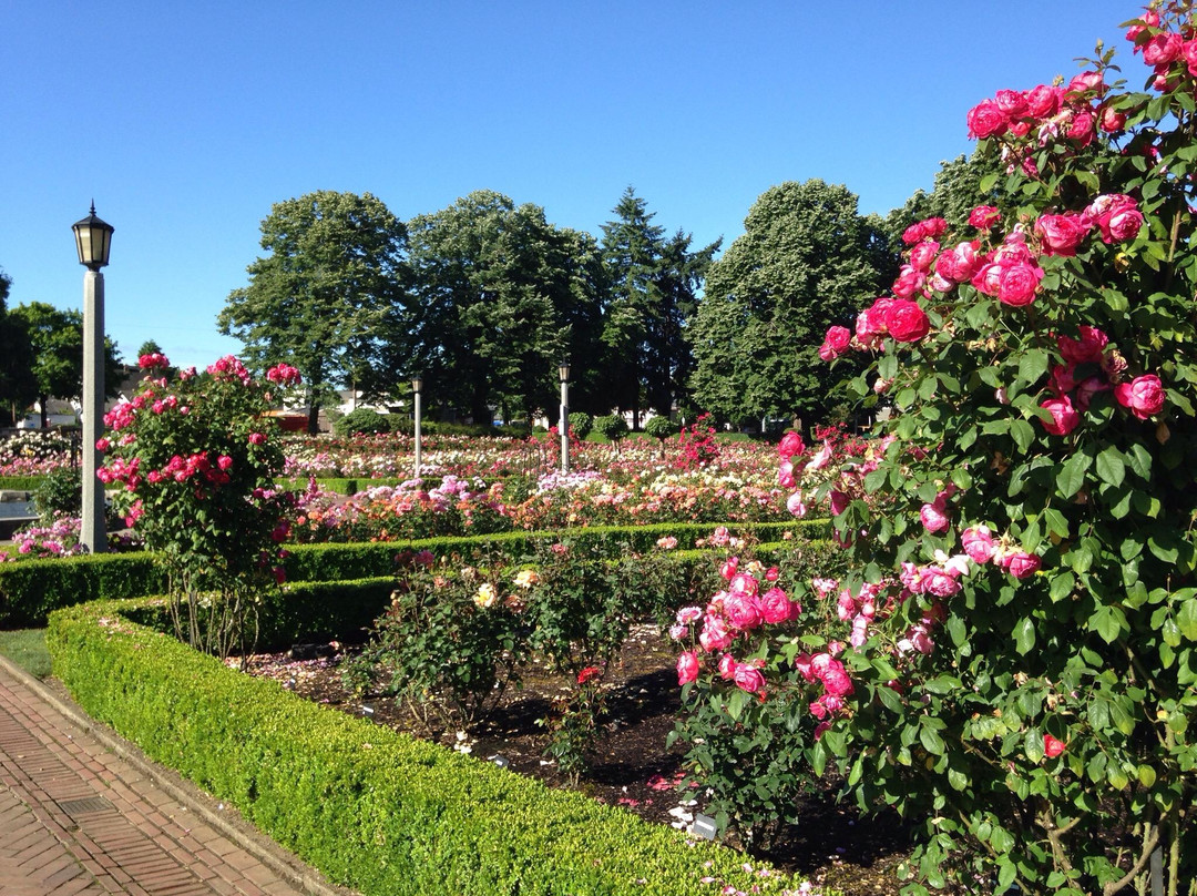 Peninsula Park and Rose Gardens-波特兰必去景点