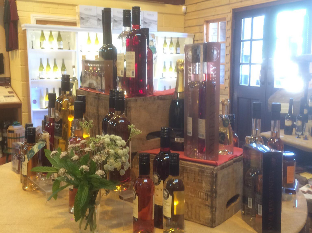 Lyme Bay Winery-Axminster必去景点