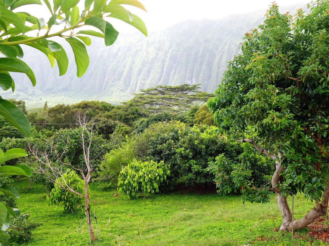 Frankie's Nursery-威玛纳诺必去景点