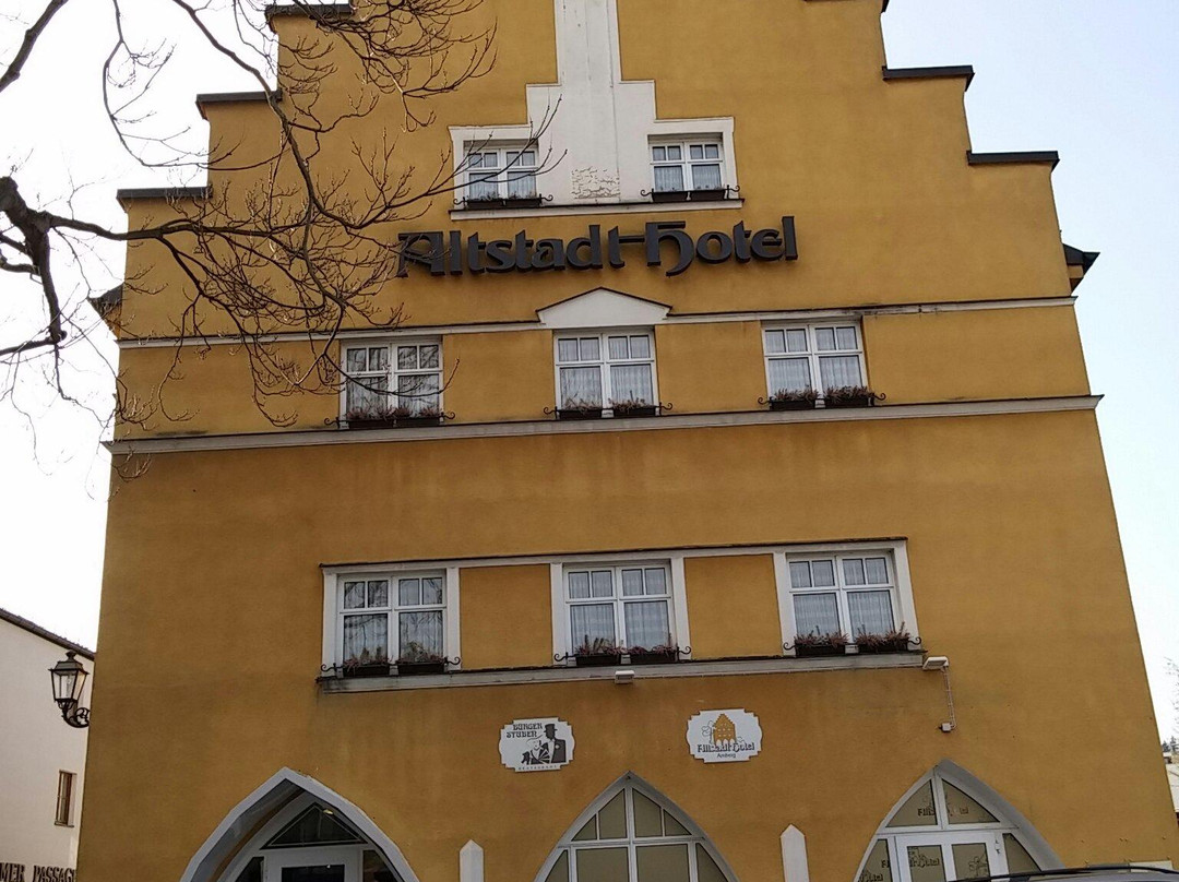 Altstadt Hotel Amberg主图