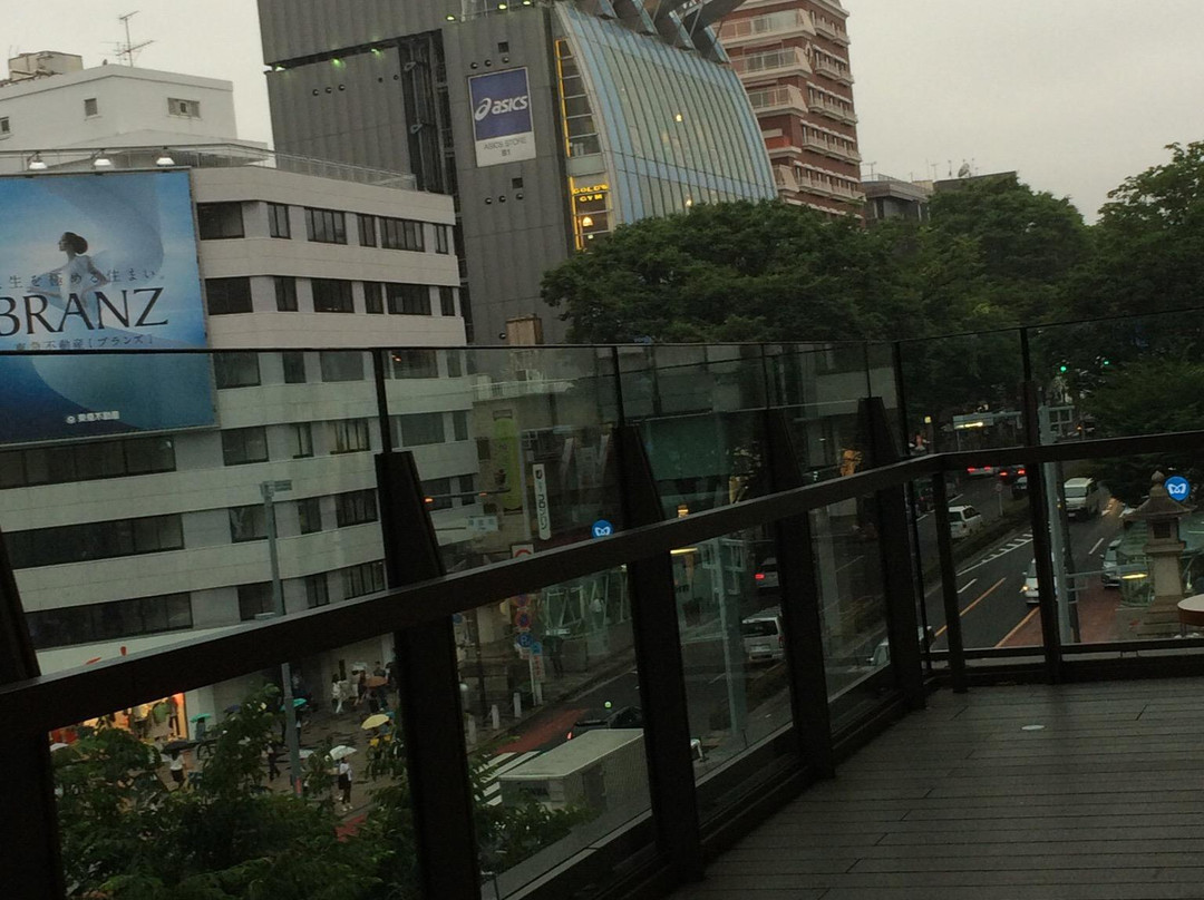 东急广场表参道店-涩谷区必去景点