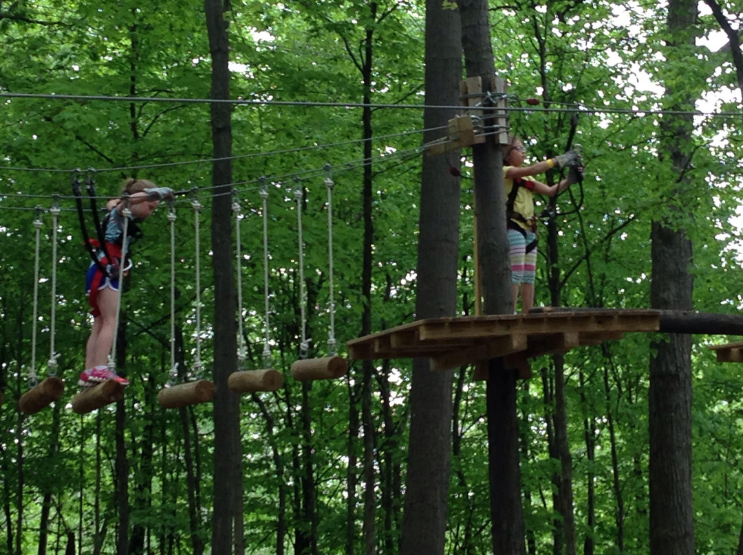 TreeRunner West Bloomfield Adventure Park-西布鲁姆菲尔德必去景点