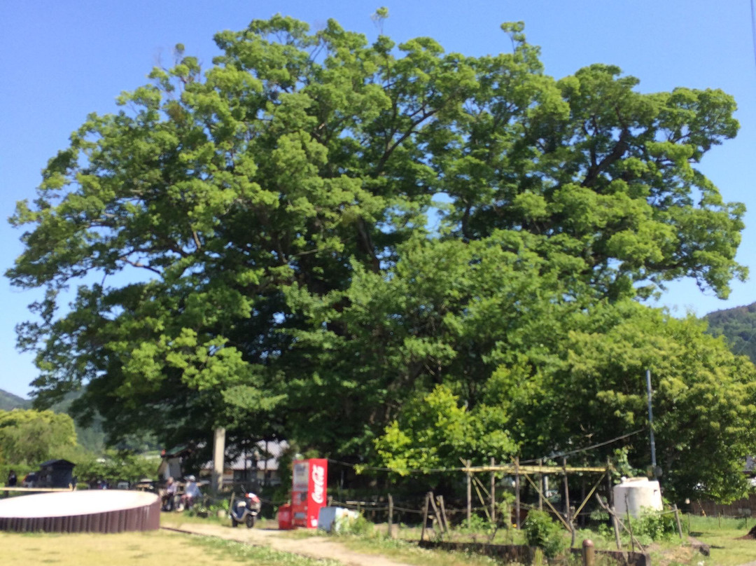 Nomano Okeyaki-能势町必去景点