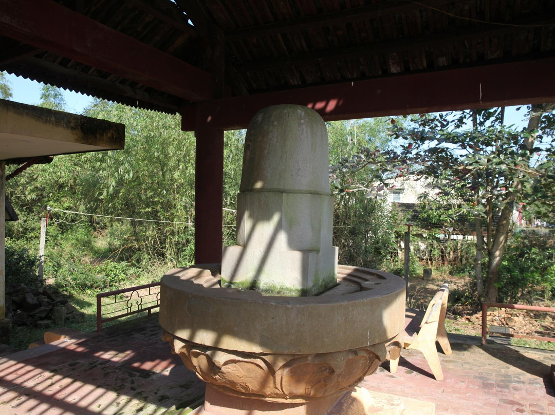 Chien Dan Cham Tower-Tam Ky必去景点
