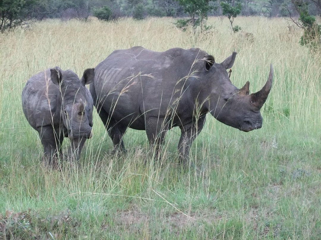 Cape Personalised Tours-开普敦中心区必去景点