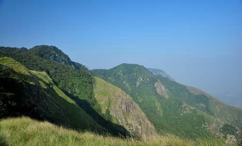 Munnar Safari Resort主图