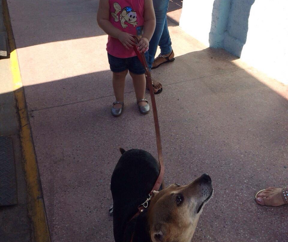 Trem da Estrada Real-Paraiba Do Sul必去景点