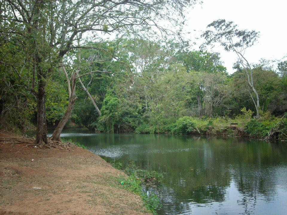 Chorro de La Chorrera景点图片