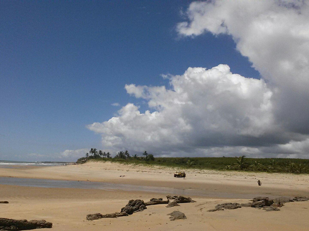 Coqueiros Beach景点图片