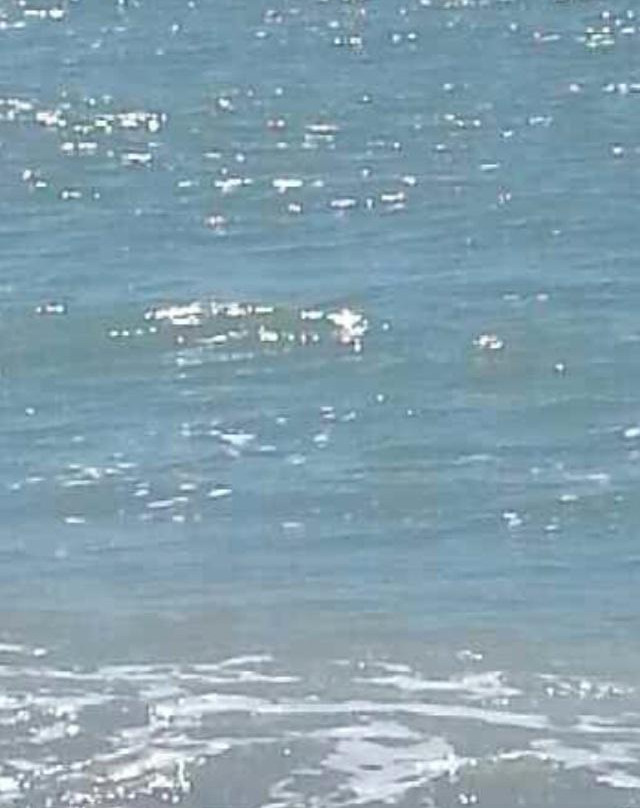 Captiva Beach-俘虏岛必去景点