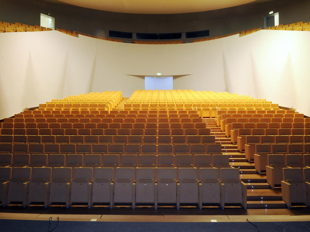 Auditorium Theatre Revellin景点图片