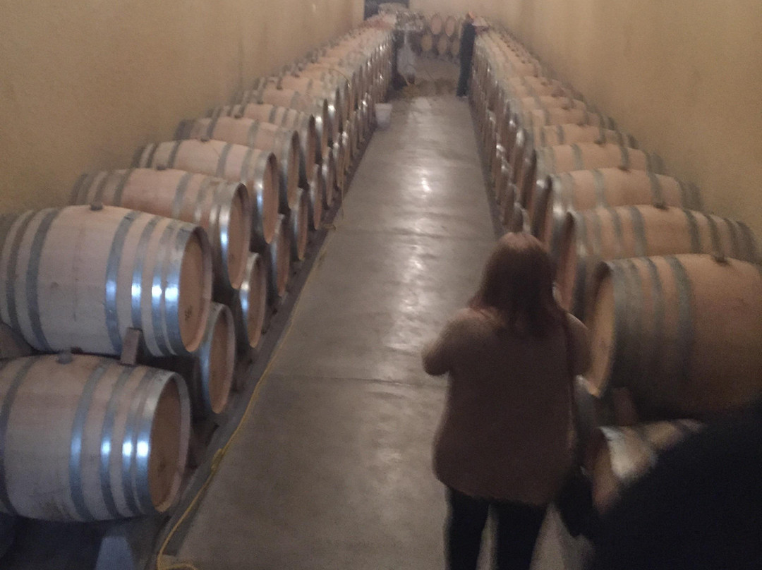 Hanzell Vineyards-索诺玛必去景点