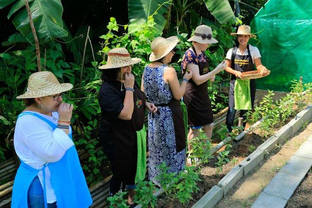 有机小岛泰式烹饪教室-查汶海滩必去景点