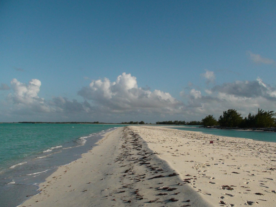 Wild Cow Run Beach-Middle Caicos必去景点