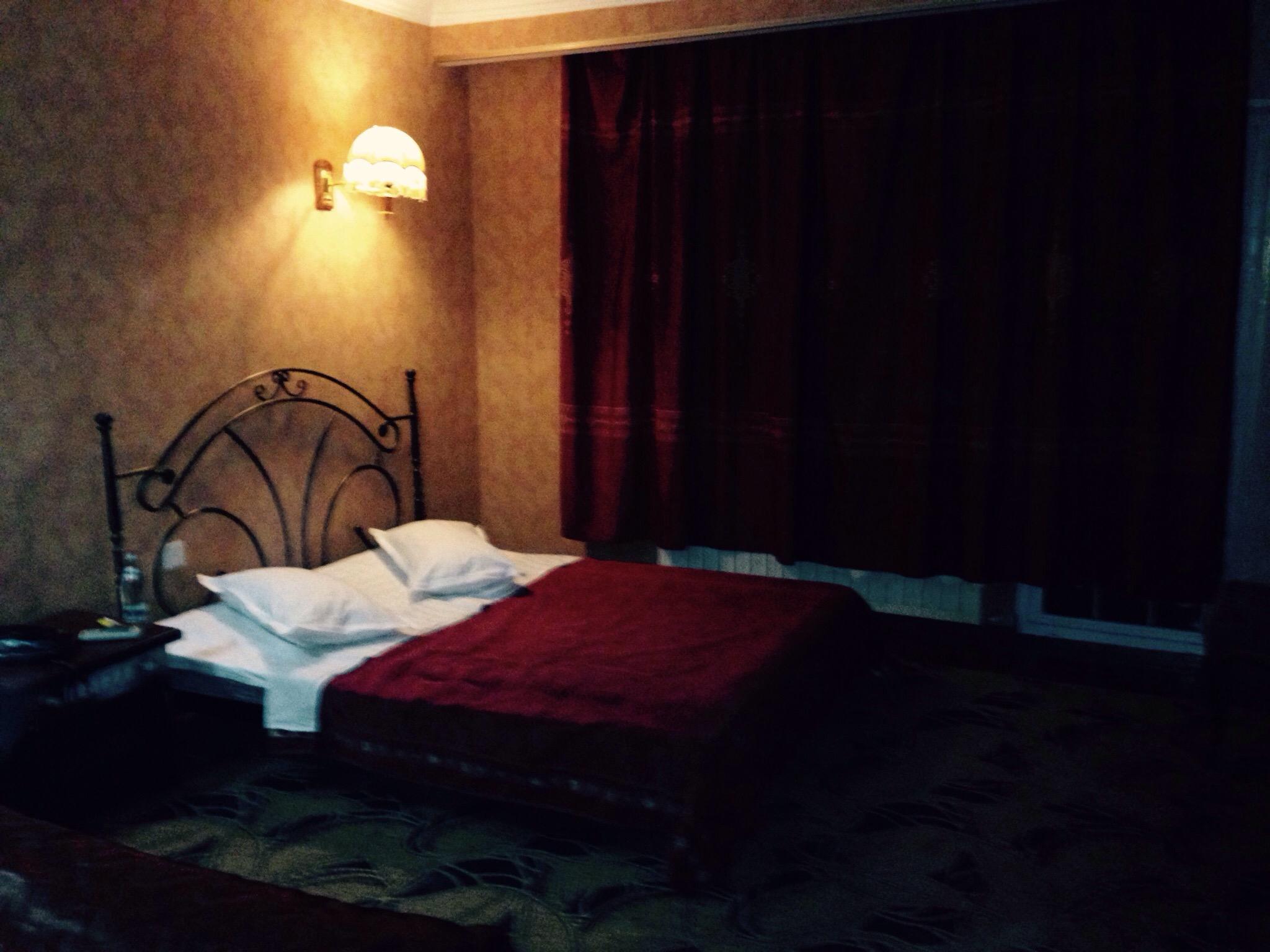 Hotel Mtskheta Palace-客卧