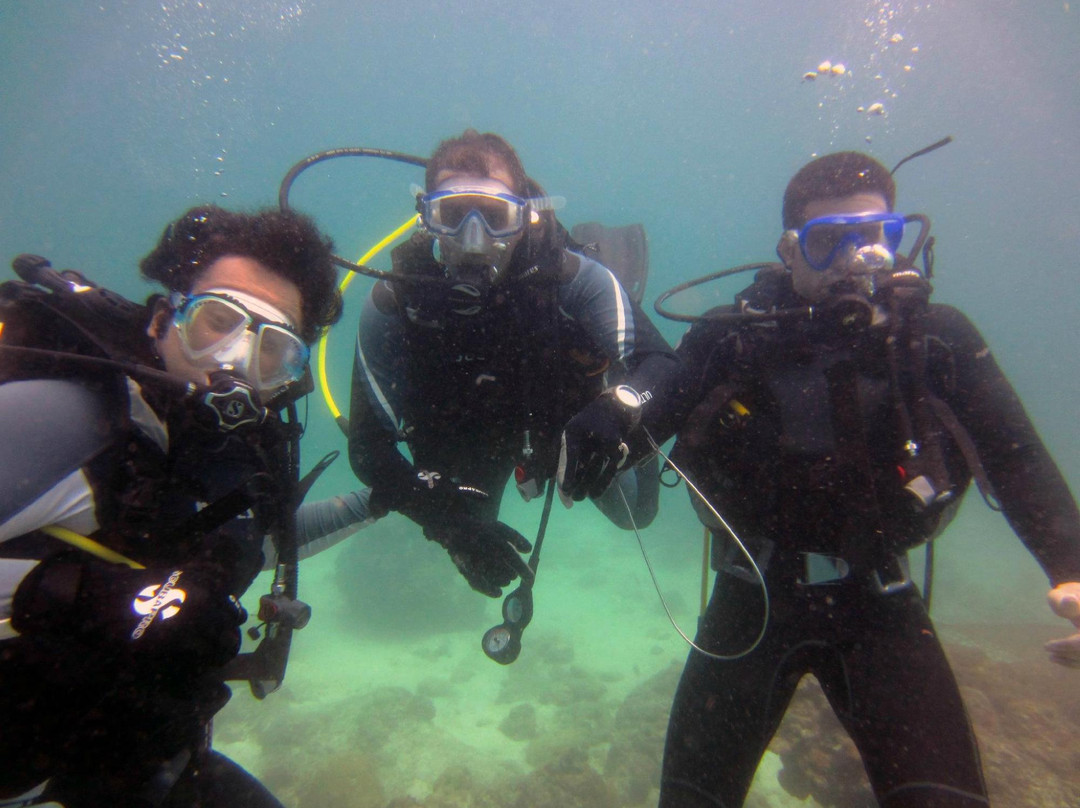Into The Blue Dive Center-麦纳麦必去景点