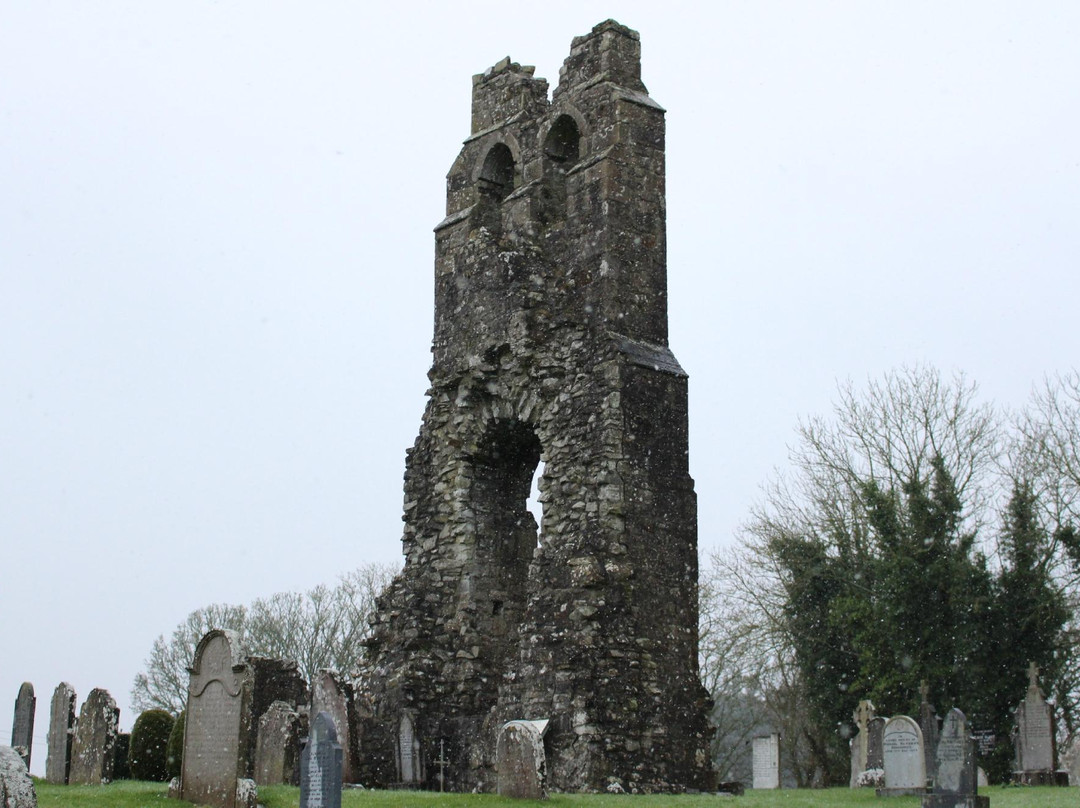 Donaghmore Round Tower景点图片