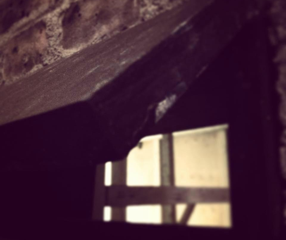 Trapped!-多伦多必去景点