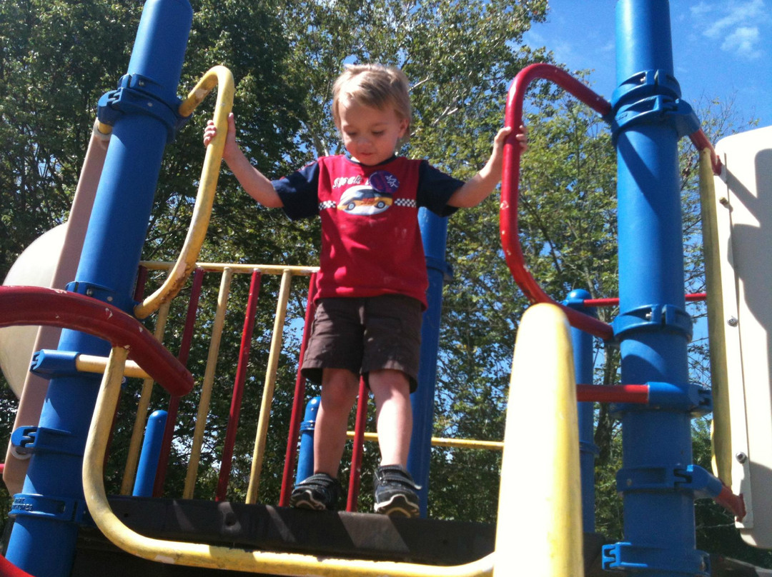 Pioneer Park-卡温顿必去景点