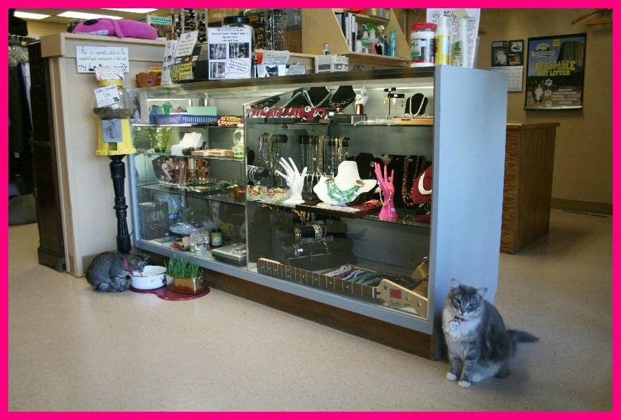 S.A.R.A.'s Treasures-尤金必去景点