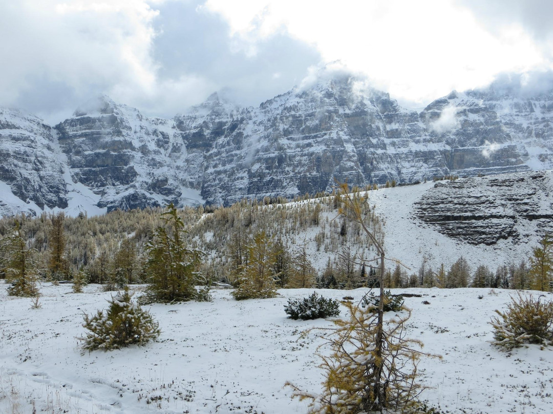 Valley of the Ten Peaks-班夫国家公园必去景点