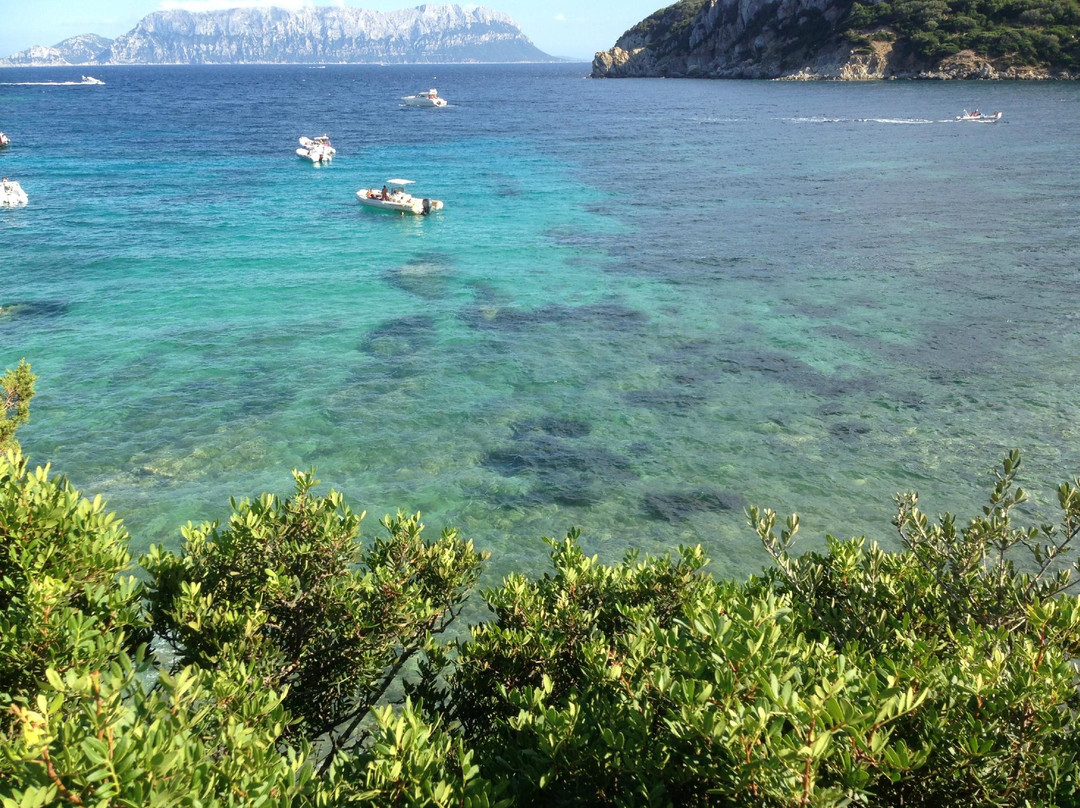 Spiaggia di Cala Moresca景点图片