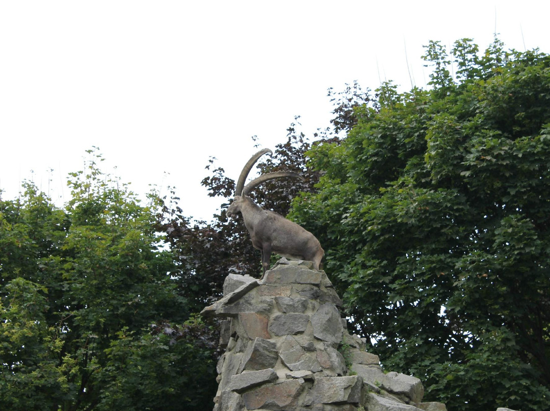 Zoo Hoyerswerda-Hoyerswerda必去景点