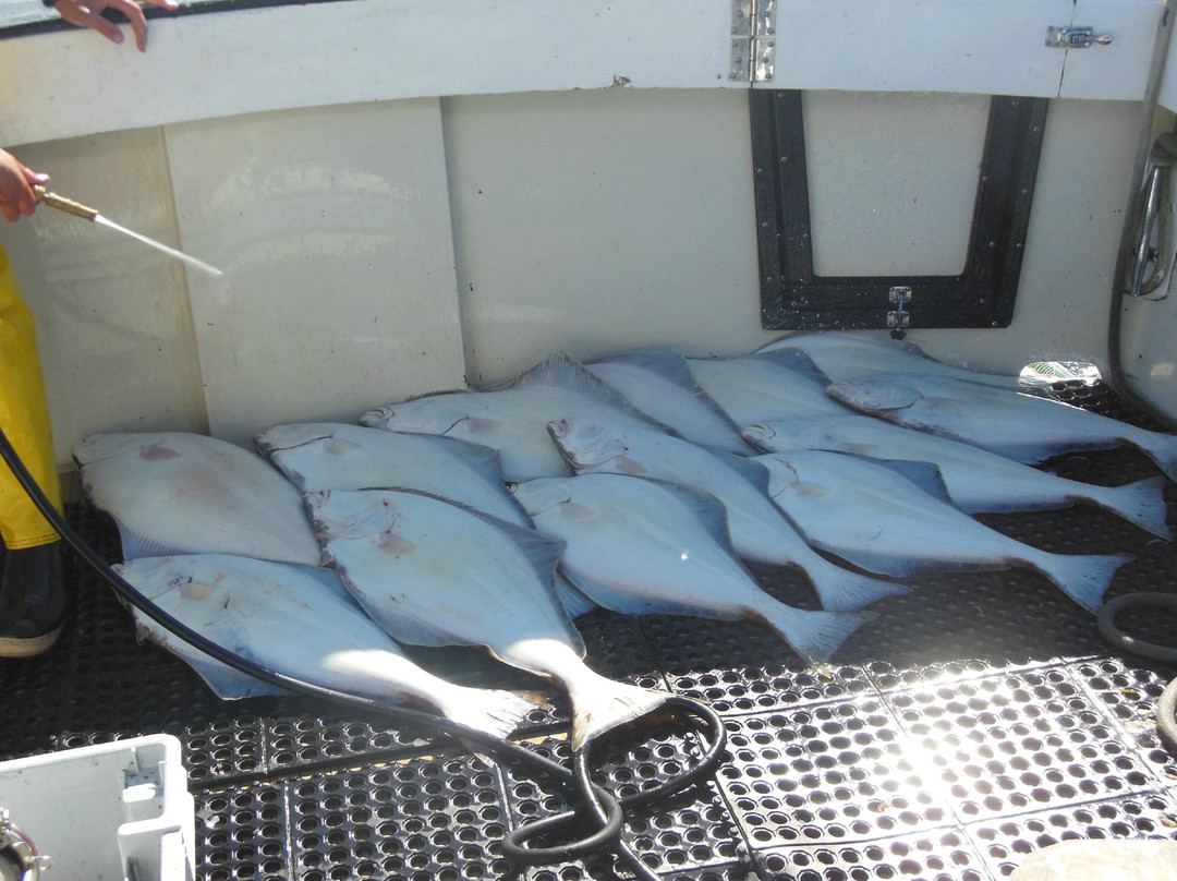 Arctic Sun Lodging主图