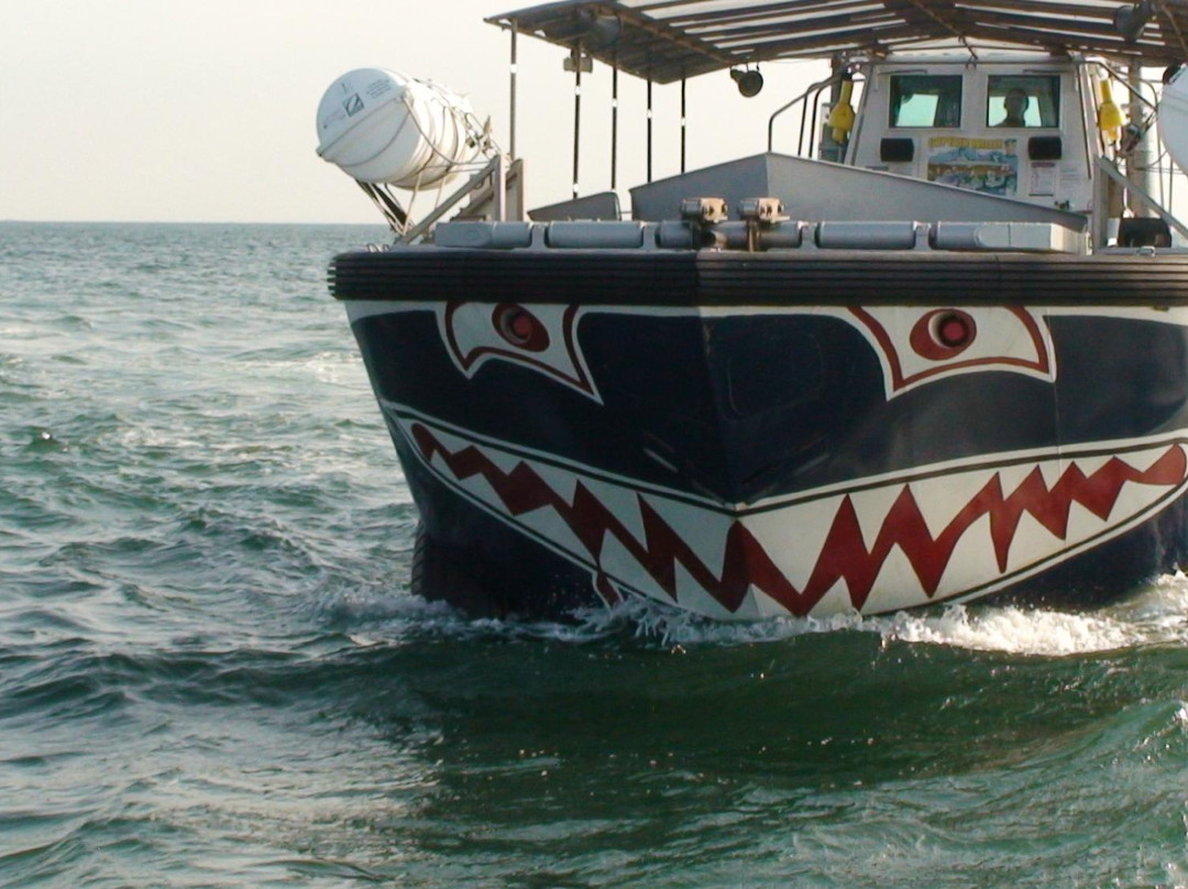 Searles Sea Tours-Hunstanton必去景点