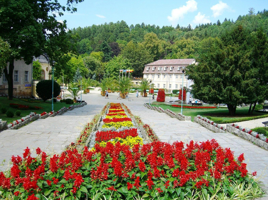 Park Zdrojowy景点图片