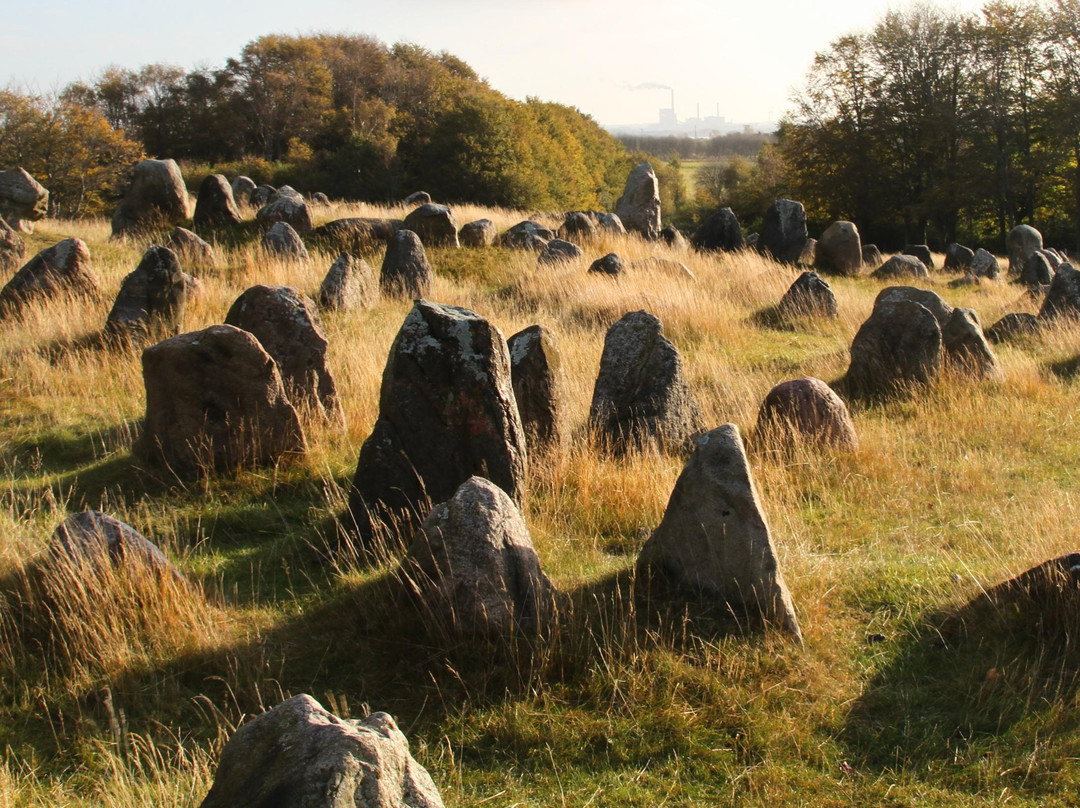 Vikingemuseet Lindholm Høje-Noerresundby必去景点