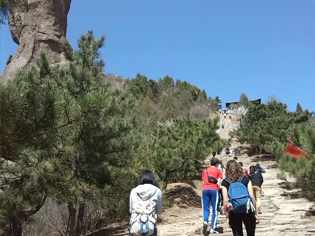 普乐寺-承德市必去景点