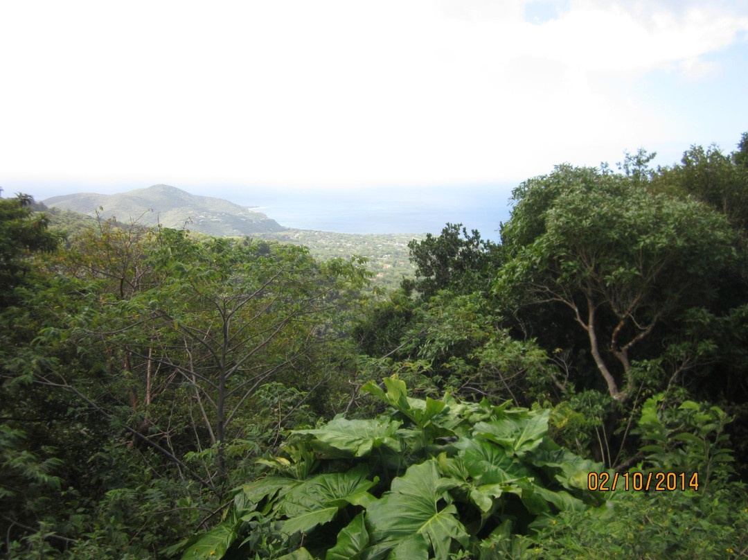 Oriole Walkway Trail-蒙特塞拉特必去景点